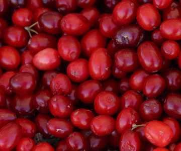 cranberries for prostate health